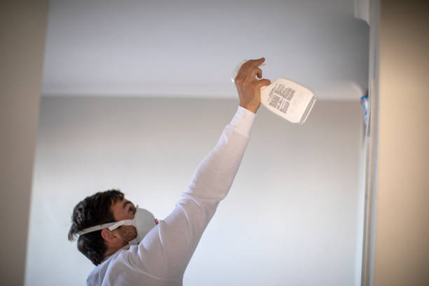 Best Affordable Mold Removal  in Union City, PA