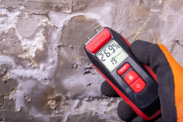 Best Attic Mold Removal  in Union City, PA