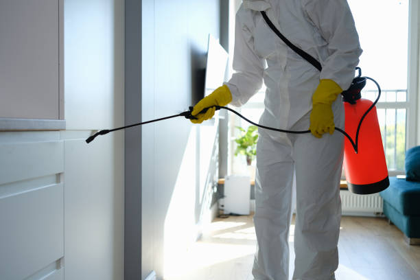 Best Residential Mold Removal  in Union City, PA